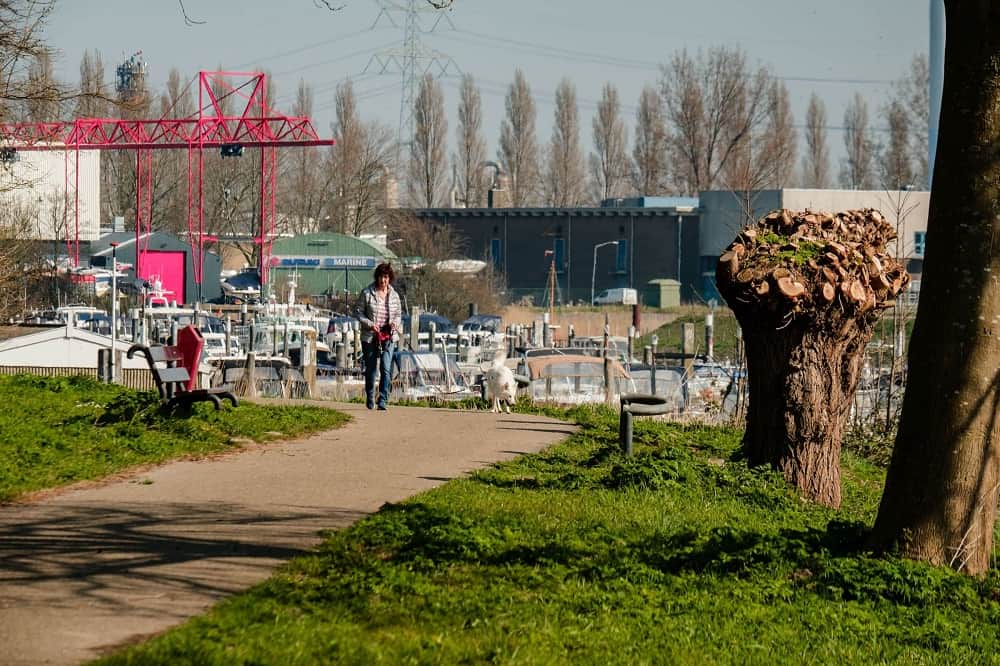 foto De Staart Dordrecht